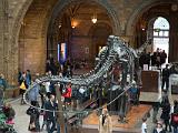 London 061  Natural History Museum